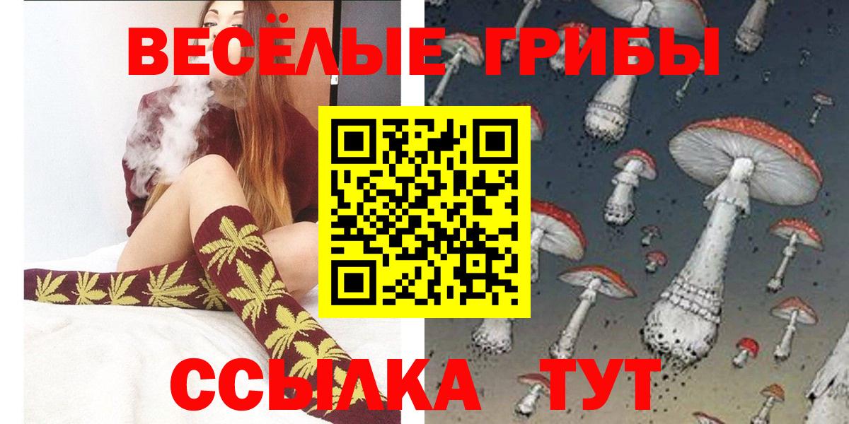 Галлюциногенные грибы MAGIC MUSHROOMS  Вход с VPN  Ростов-на-Дону 